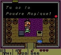 une photo d'Ã©cran de The Legend of Zelda - Link s Awakening DX sur Nintendo Game Boy Color